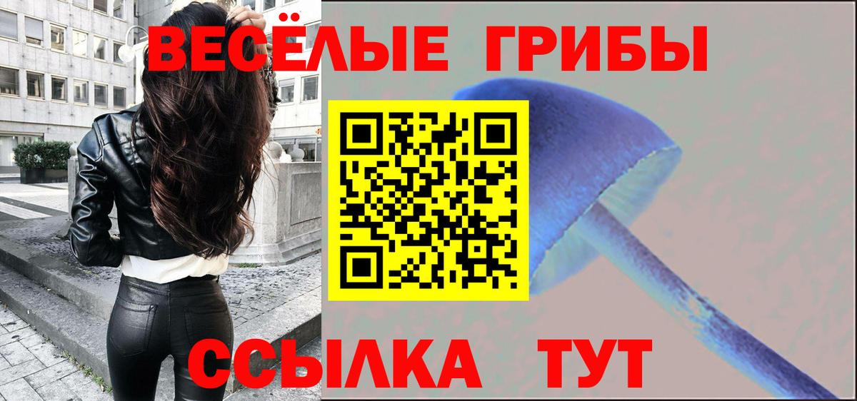Псилоцибиновые грибы Cubensis  Вход с VPN  Верхняя Пышма 